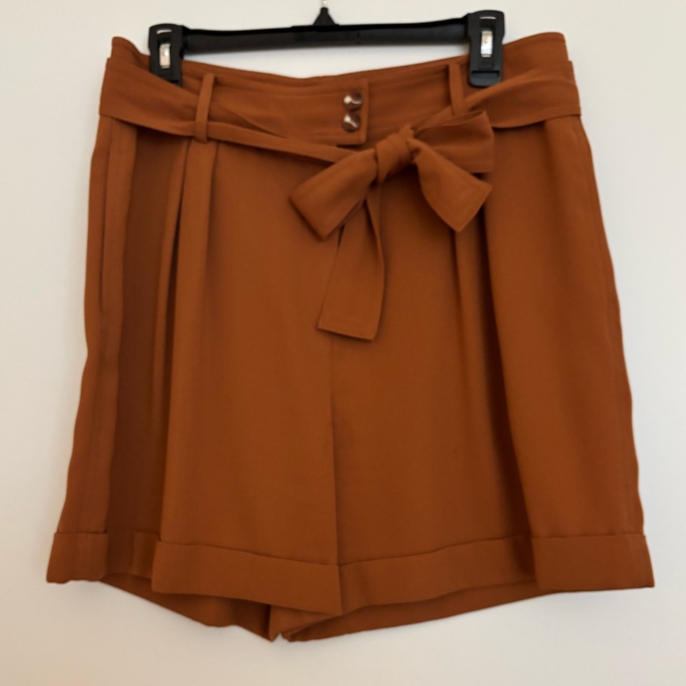 Bar III Terracotta Shorts